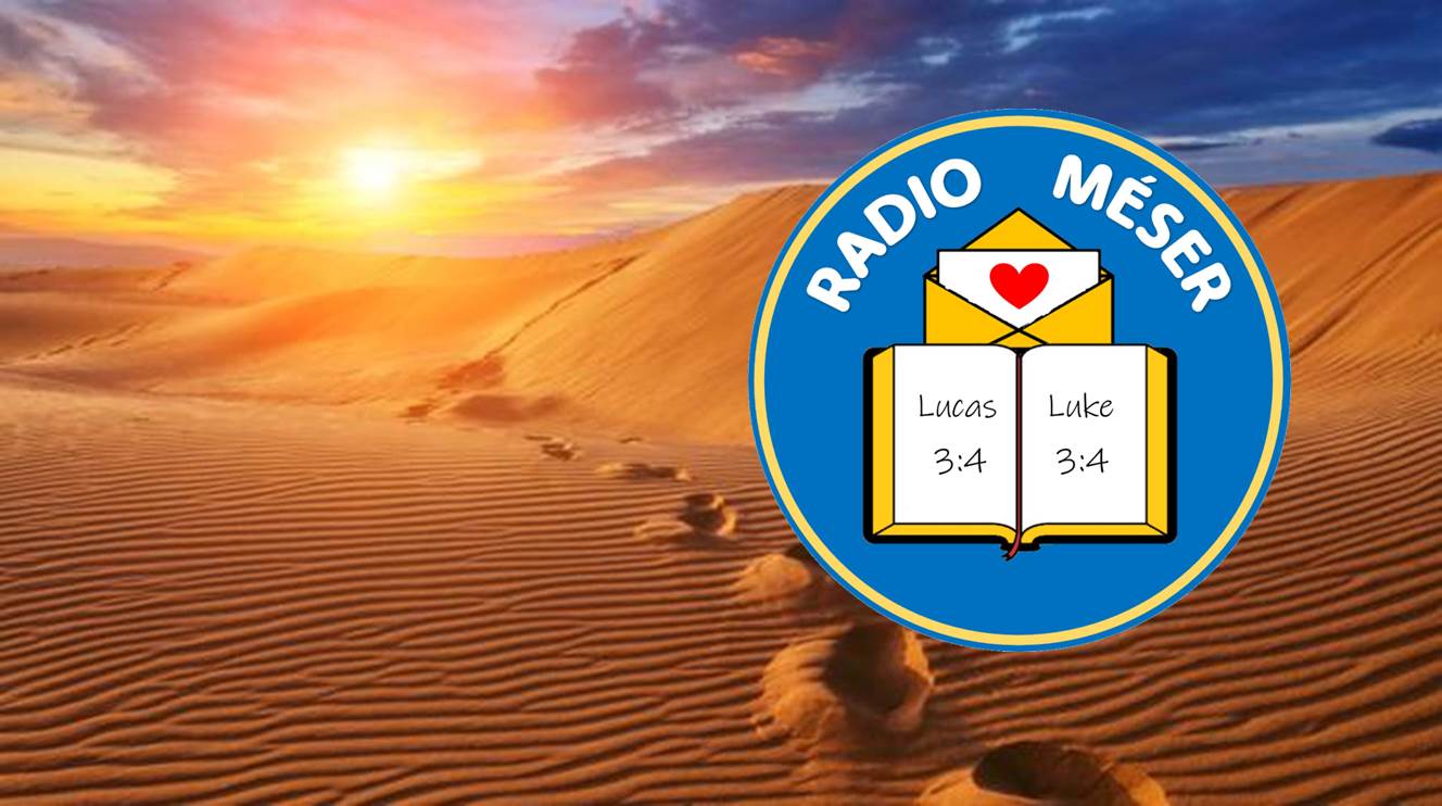 logo con fondo